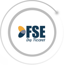 FSE Dış Ticaret